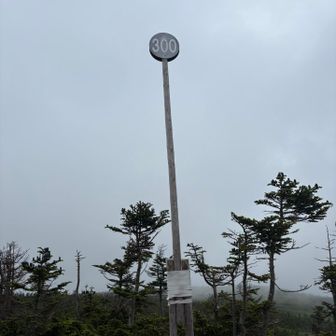 何かな。