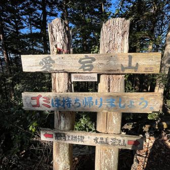 14座目 愛宕山 250m🐸
本日最後のお山です
初登頂は11座でした✨️