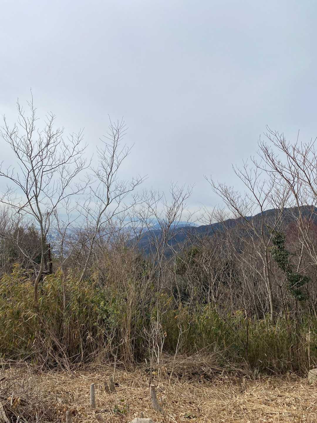 肉眼では微かに明石海峡大橋見えていたけど…😅淡路島だけ