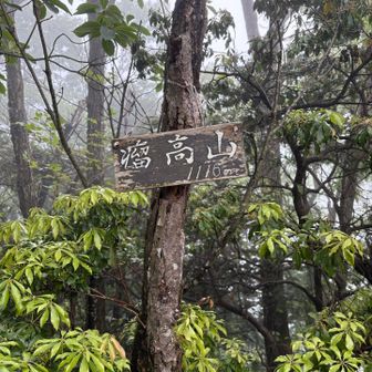瘤高山登頂〜