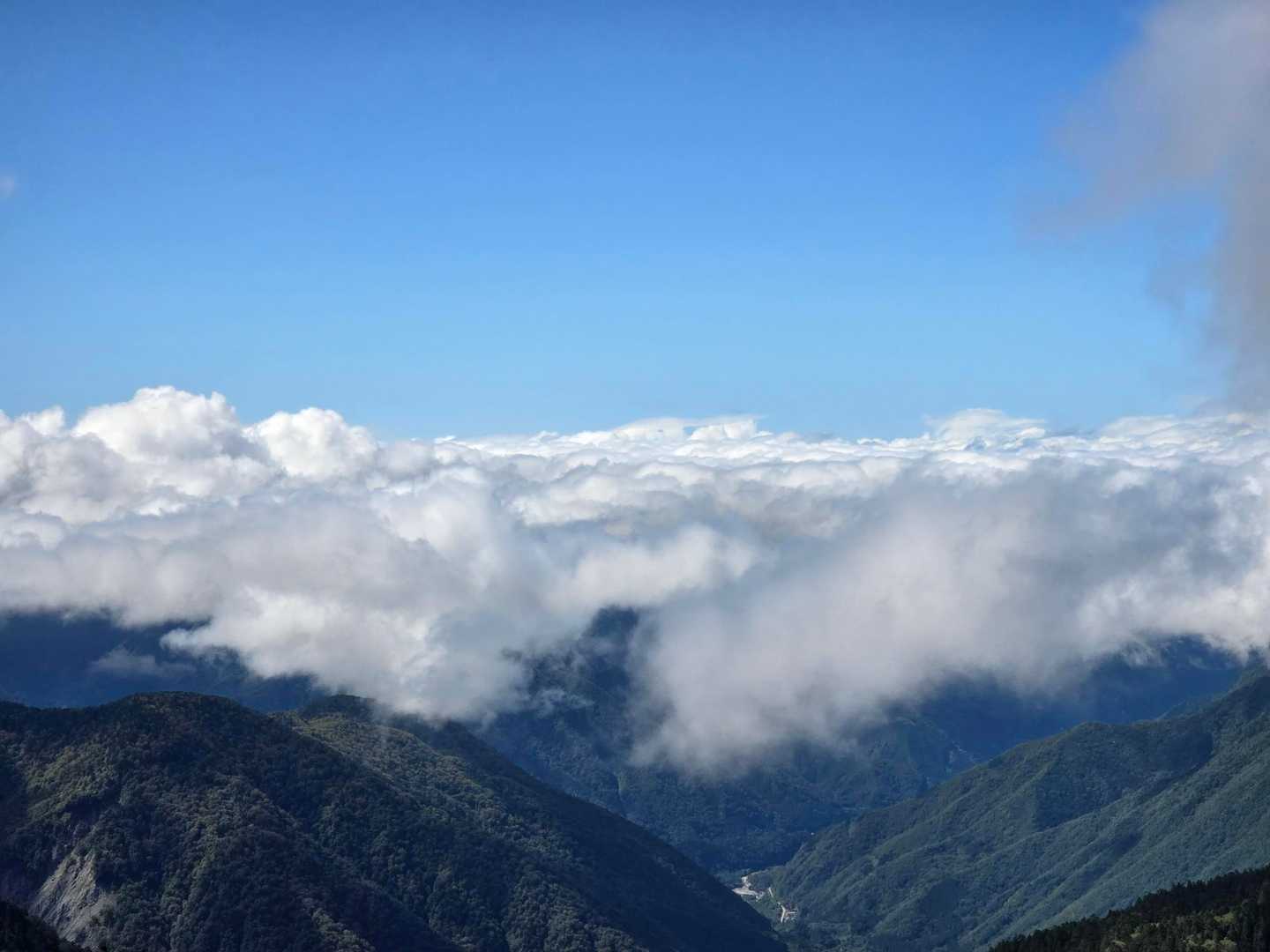 雲出てきて雲海っぽい