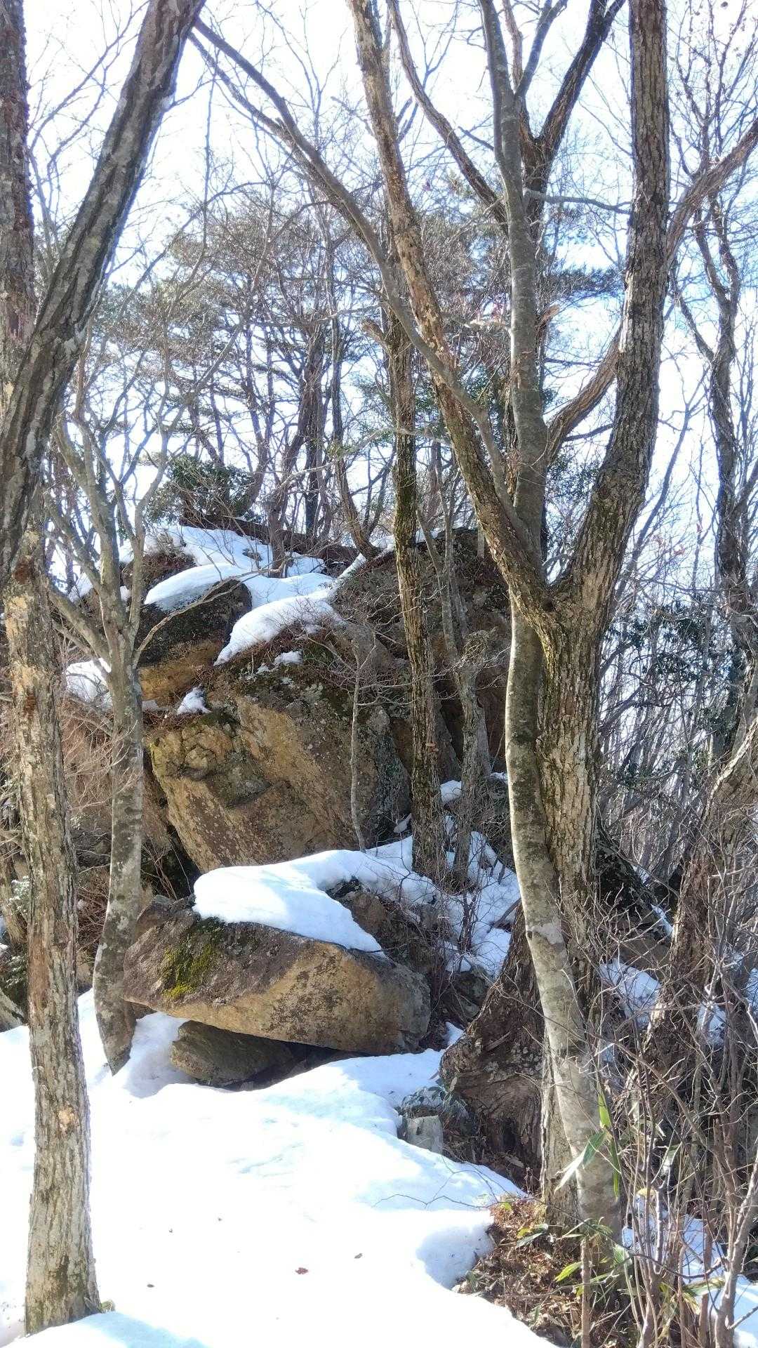  岩を越えてはダメそう
下りは右側に下りてみる