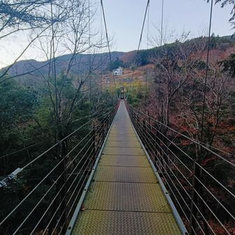 長さ71m、高さ34m