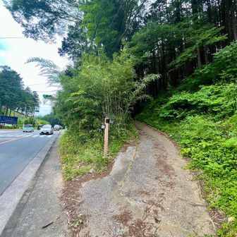 ここは、一旦車道に出て七国山下、岩蔵温泉方面の山道に入ります