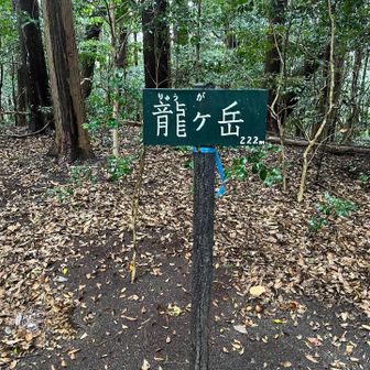 防水の靴でしたがローカットのせいか靴の中まで浸水