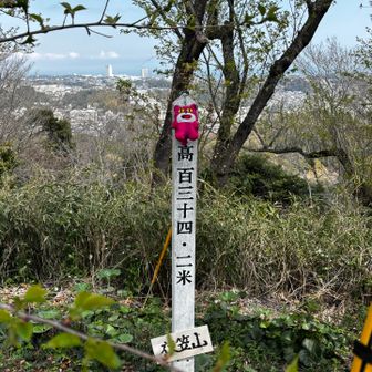 衣笠山とうちゃこ