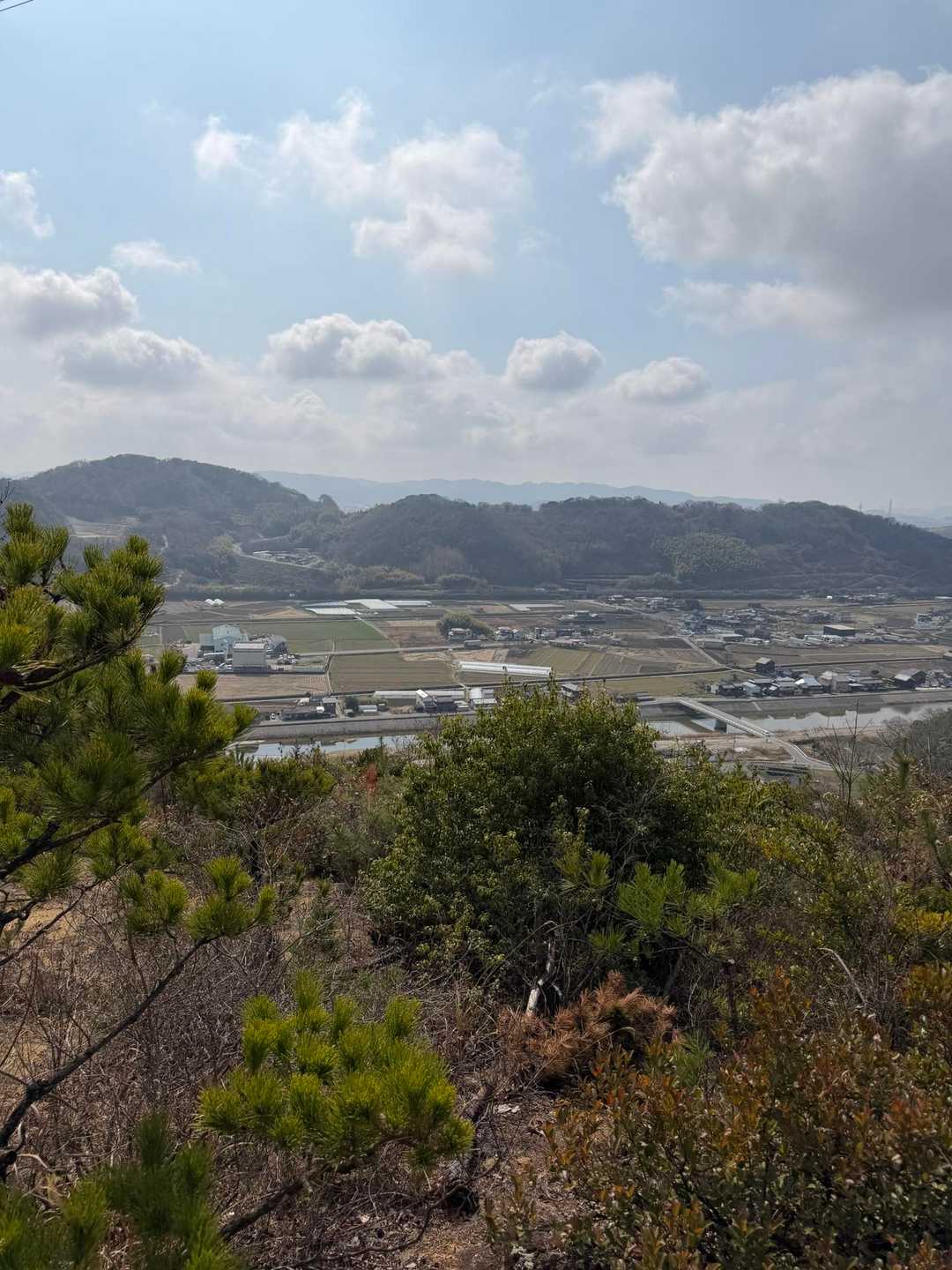 新庄山登り口-高尾山-大山-シャシャ木山登り口 周回コースの写真