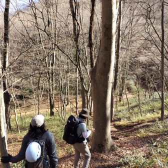 大円地越が近い。