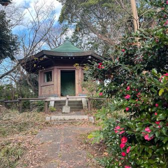 八角堂は立ち入り禁止🚧ここが1座目の金沢山山頂⛰️