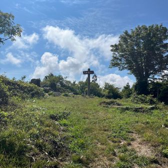 広島島根、最高峰だから過酷？
って思い込んでいたけど、
ゆるやかな勾配で歩けた😆


途中、全身茶色の野鳥、
ミソサザイ🐤が見れた。