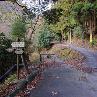 入道ヶ岳登山道との分岐