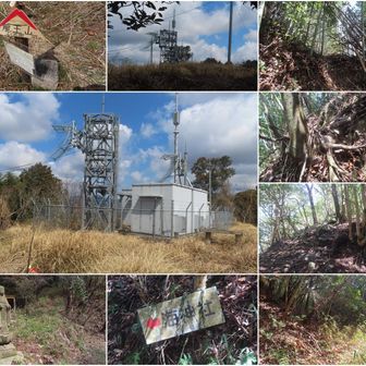 ■急登から龍王山山頂〜、防災無線・NHKの電波塔、三角点あり☺龍王城児童遊園の石碑があり城跡らしく遠足で登ったりするのかも☺  

（左下から）峠に戻り龍王山へ、海神社の標識はスルー😥、右の赤テープへ、急登尾根😥、一旦鞍部に下り（山城の堀切？）木に掴まり登り返す😥、竹林の道をを登り、階段の先が開け電波塔、山頂標識と三角点タッチ（二等三角点、竜王山、315.29m）