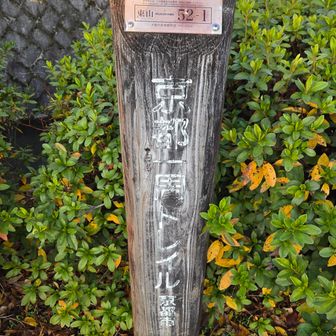 ゴール
哲学の道北端に到着