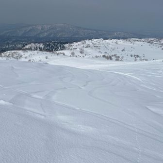 たぶん、旭岳わたし登れそう😅
次は行ってみよう、さて下山