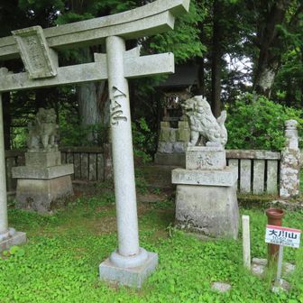 大川山

この奥からのルートはテープで封鎖されていました
ちゃんと正面の鳥居から入ってねということでしょう