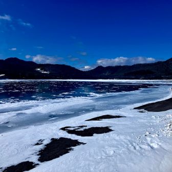 大沼で何か釣れないかな〜🎣