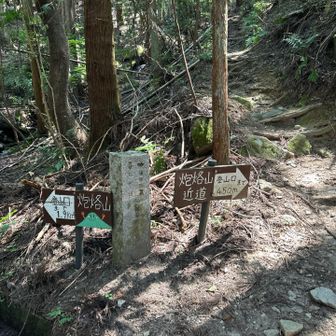 ようやく登山道⛰️