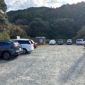 駐車場🅿️ほぼ満車