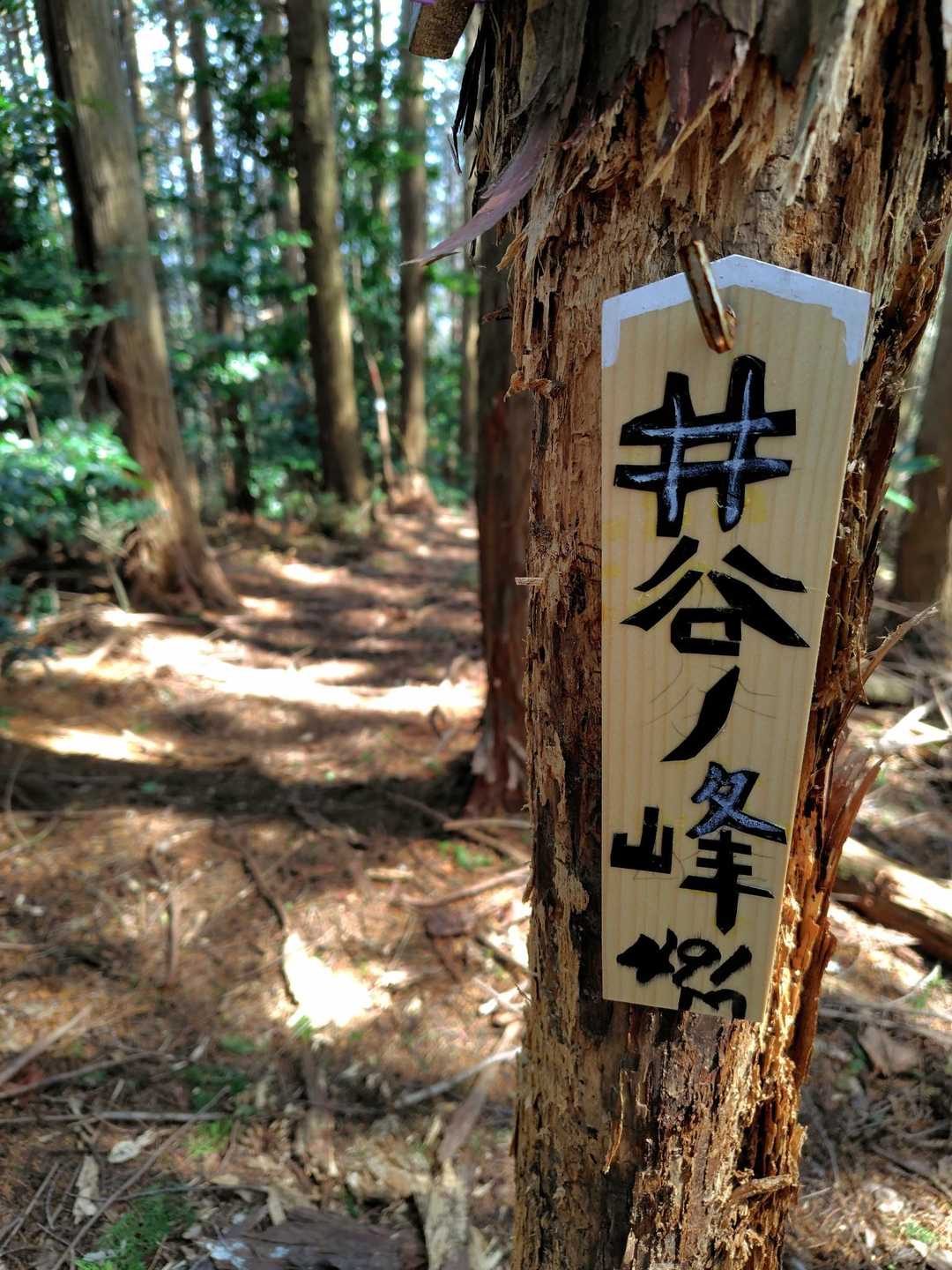 井谷ノ峰🍃