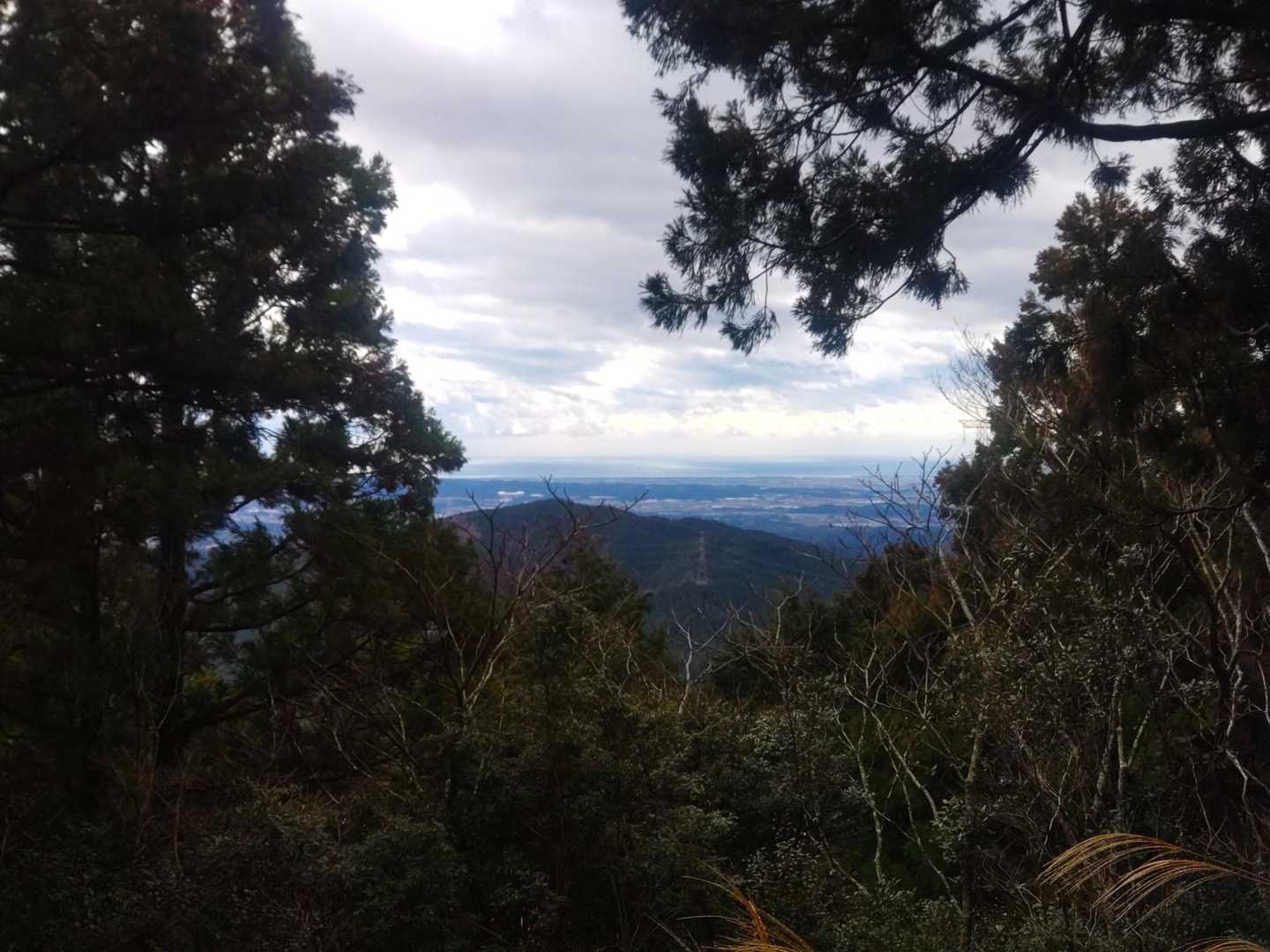 居尻バス停-大尾山 周回コースの写真