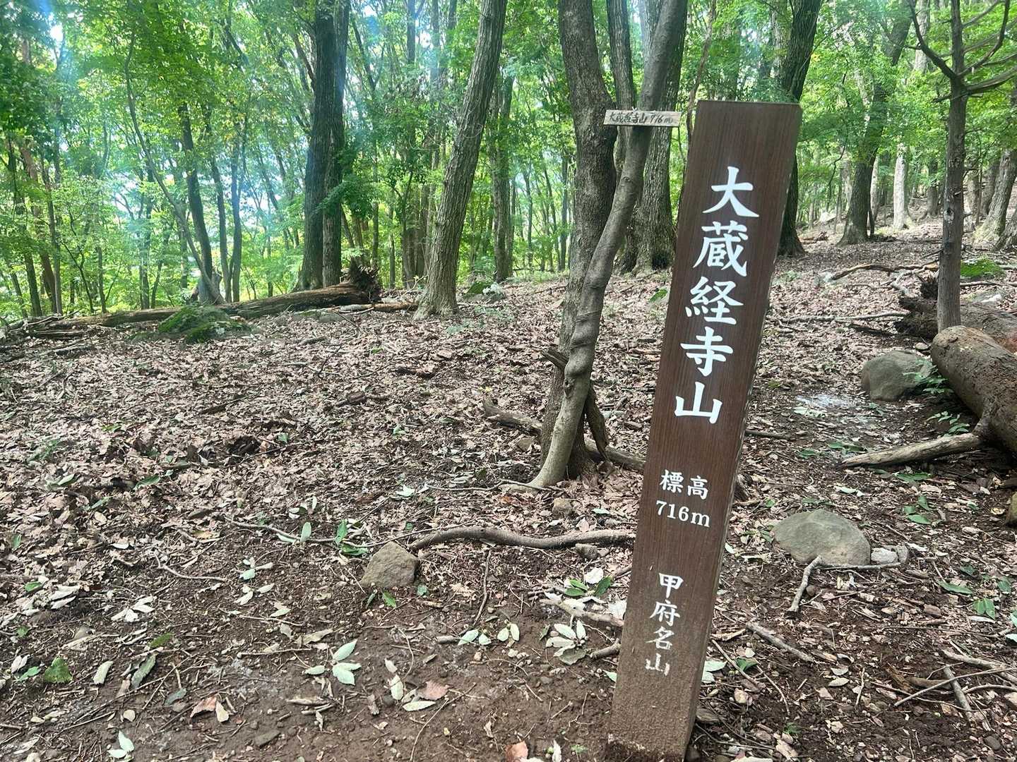 大蔵経寺山（JR石和温泉駅）の写真