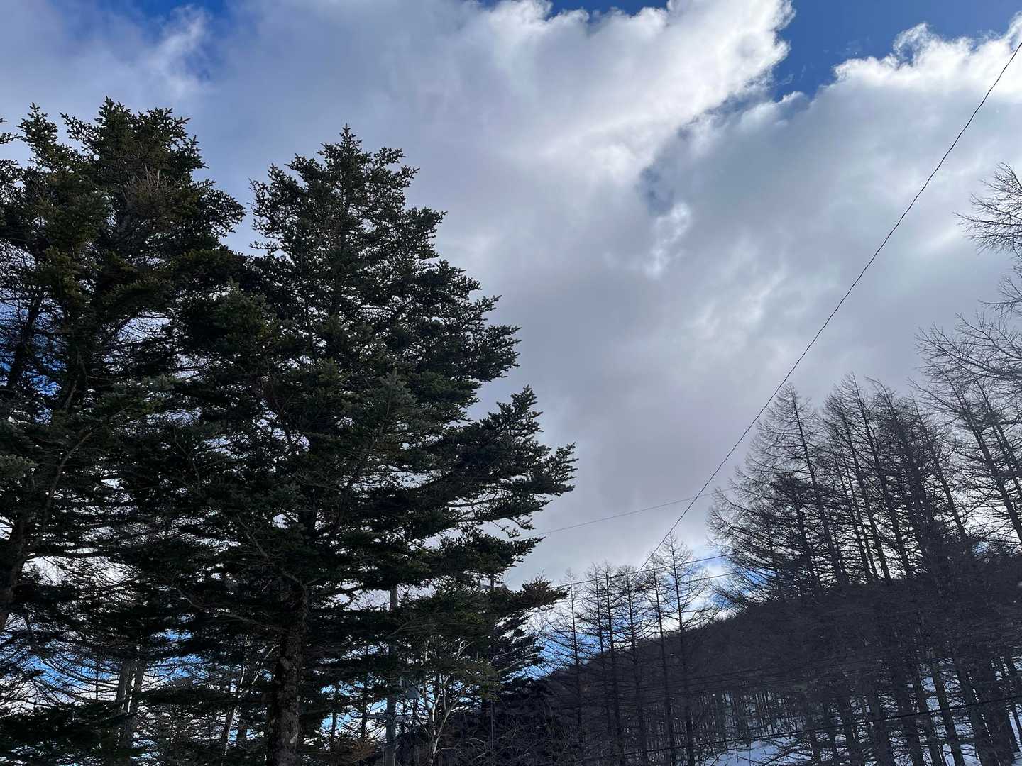 沢入登山口-入笠湿原-入笠山 往復コースの写真
