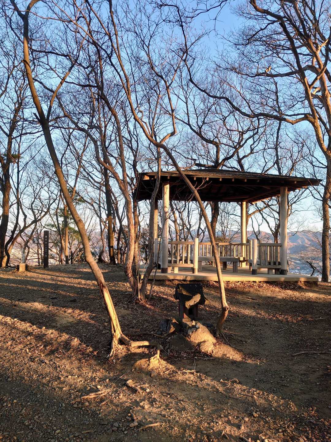 唐沢山山頂🗻