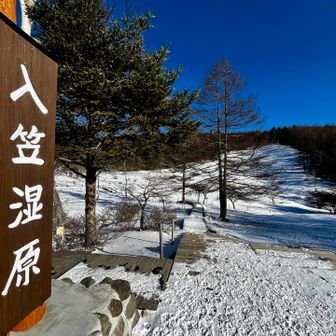 入笠湿原に戻った頃には誰もいなくなった