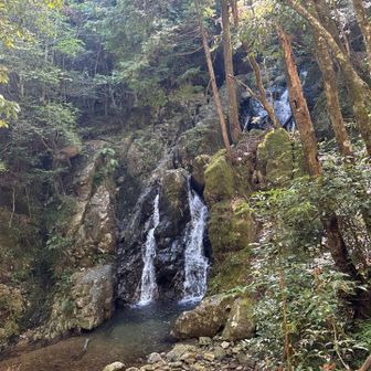 音羽の滝。