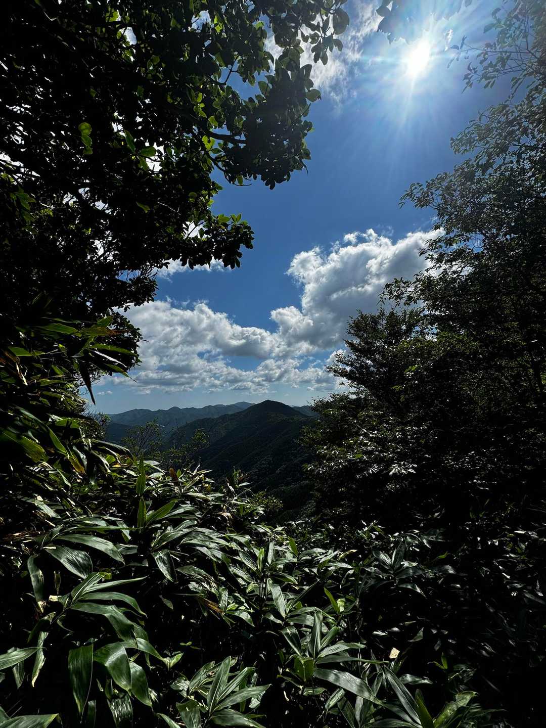 下山〜