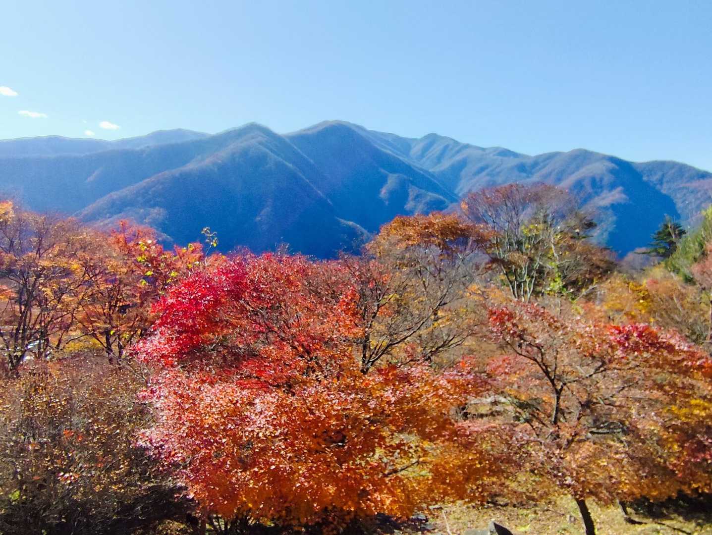 南側の山々と紅葉🔴🟠🟢🔵🟤
良い感じ…