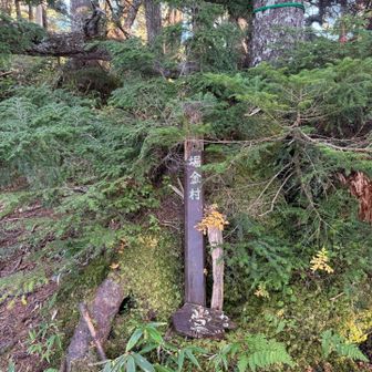 急登を上り終えた中間地点