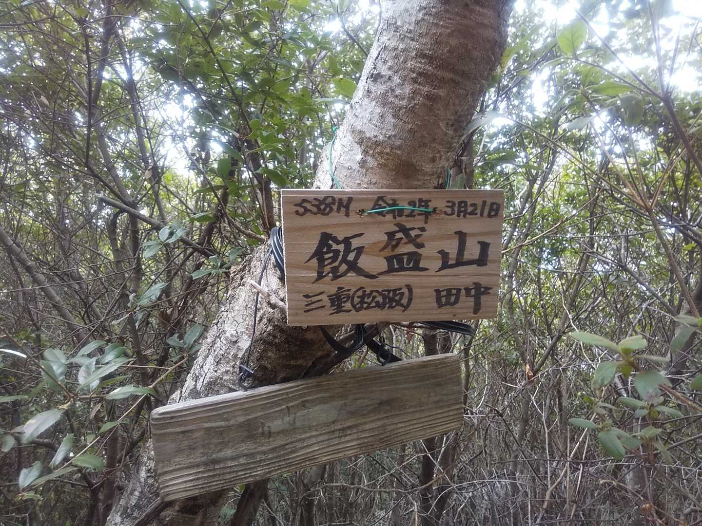 ここ山頂？よね？！