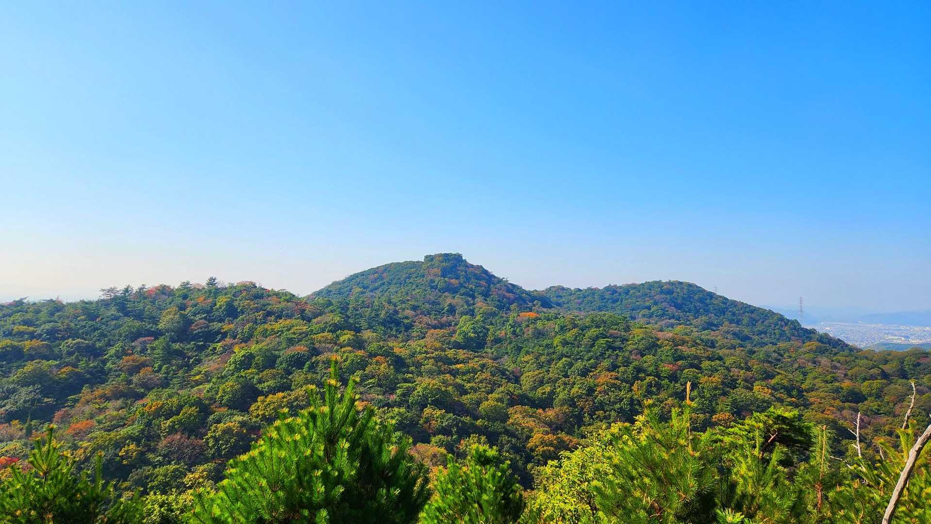 京見山⛰️
少し紅葉してます🍁