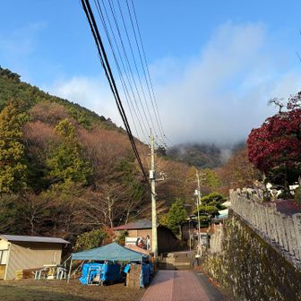 雨予報でもこれだけ晴れてると、期待大！