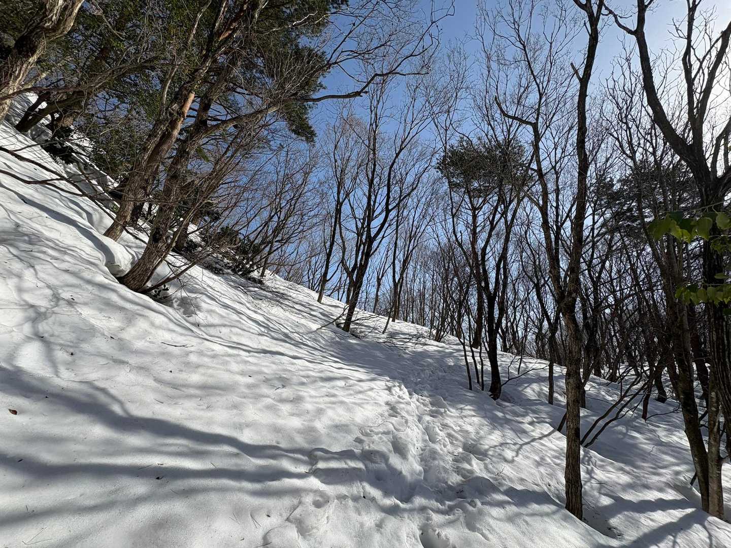 でも　誰もいないんよね…