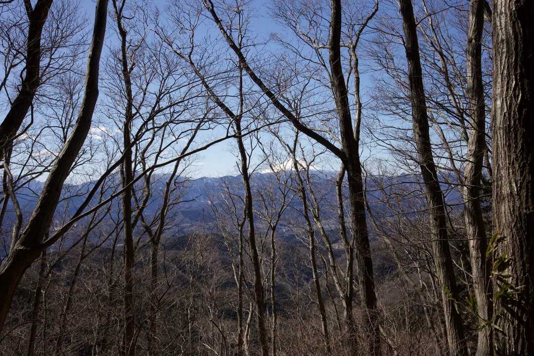 奥高尾〜裏高尾縦走（陣馬山・堂所山・富士見台・駒木野） の写真 31
