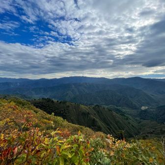 真ん中にちょこんと出てるのが
昨日登った会津駒ヶ岳です⛰️