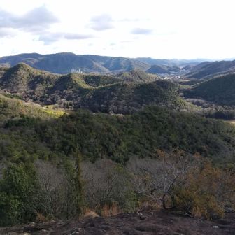 亀岩（神岩）🐢からの展望👀