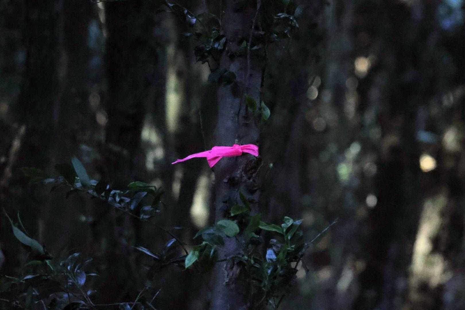 登山はわかりやすい