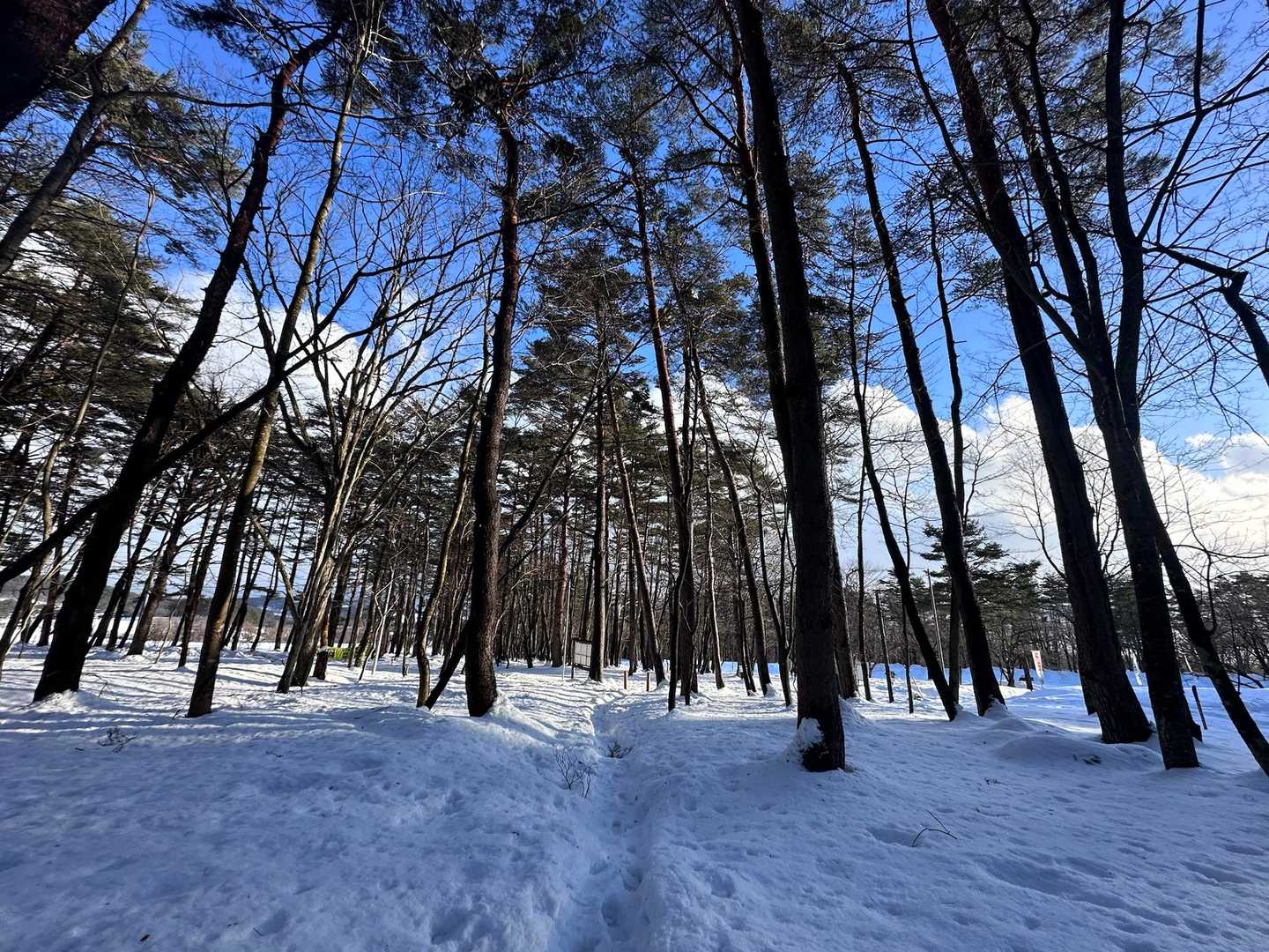下山すると青空っていうね😅
登山あるある
