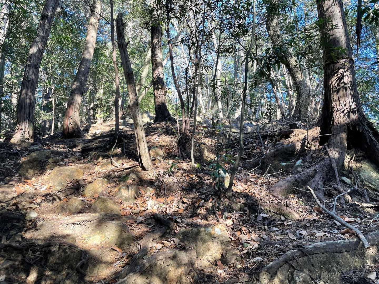 大中寺でもう下山した気分満々でしたが、また山登りになり、聞いてないよでした💦