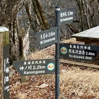 さあ‼️檜洞丸に向かいますよ‼️