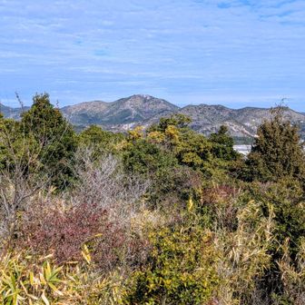 まだ未踏の高御位山のようです🧐
地元の方のような？年配の女性の方に教えて頂きました🙂