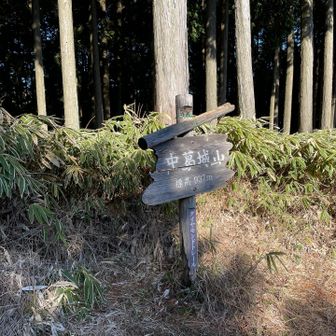 気がついたら山頂