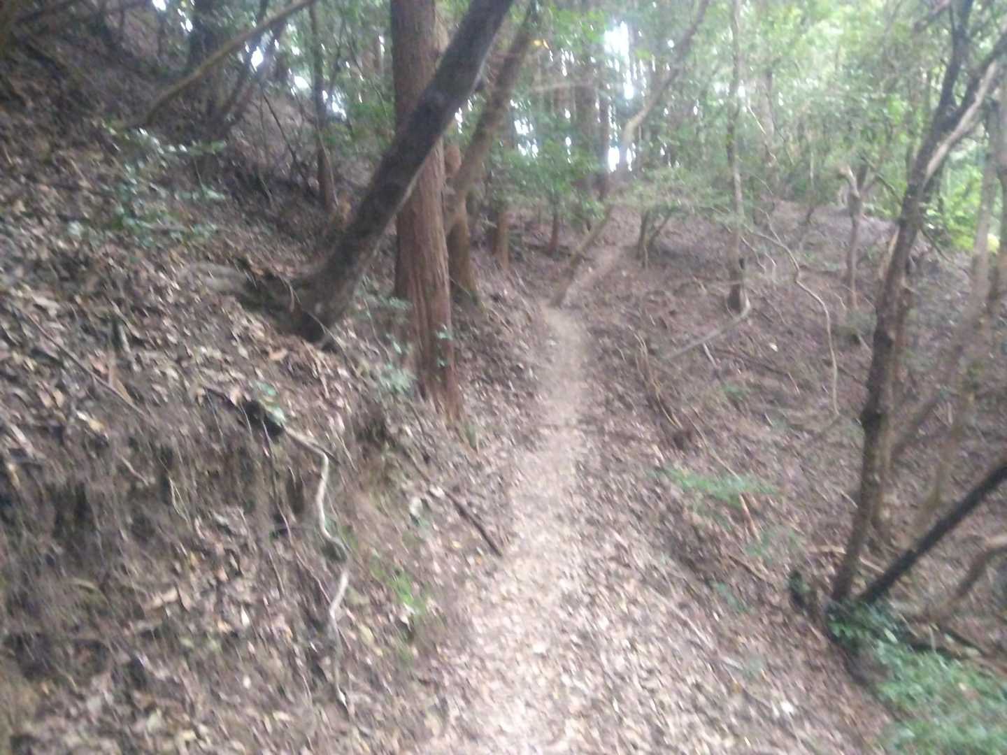 西福岡縦走路 | 景色の良い低山で手軽に縦走を楽しむの写真