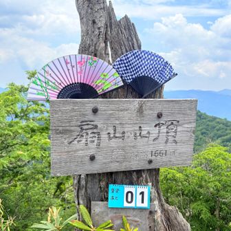何回も企画倒れして、やっと来れた扇山🪭🪭
とうとうここまで来たよー🤩
脊梁制覇まで、【あと1座】‼️