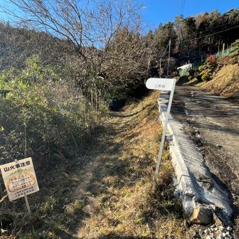 ここから再び登山道に入ります。
ここでアクシデント発生。
登山道が水浸しになっていてどうやっても避けきれず、靴下まで染み染みになるほど水没してしまいました。終盤だったのでまだ良かったですが、逆回りだったら一日中湿っぽい靴履いていないといけなかったわけですよね。替えの靴下持って歩いた方が良いかなぁ🤔