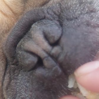 「歩いたぶん美味しくなるぞ」
私もそう思うよ