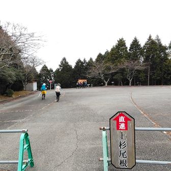 いよいよ下山開始！

上杉尾根を歩きます👣